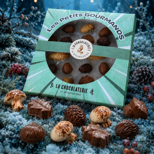 Petits Gourmands Ballade en Forêt Praliné- 195g